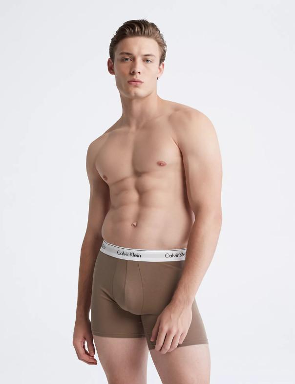 Набір трусів боксери 3 шт. Calvin Klein