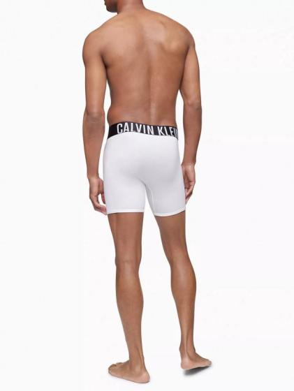 Набор трусов боксеры 3 шт. Calvin Klein CK-055