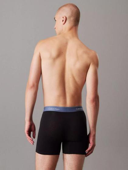 Набір трусів боксери 5 шт. Calvin Klein CK-122
